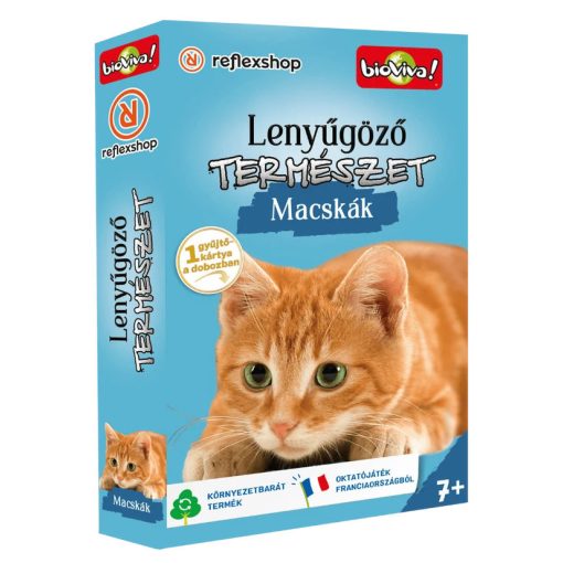 Lenyűgöző természet: Macskák társasjáték